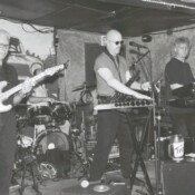 Java Monkey band